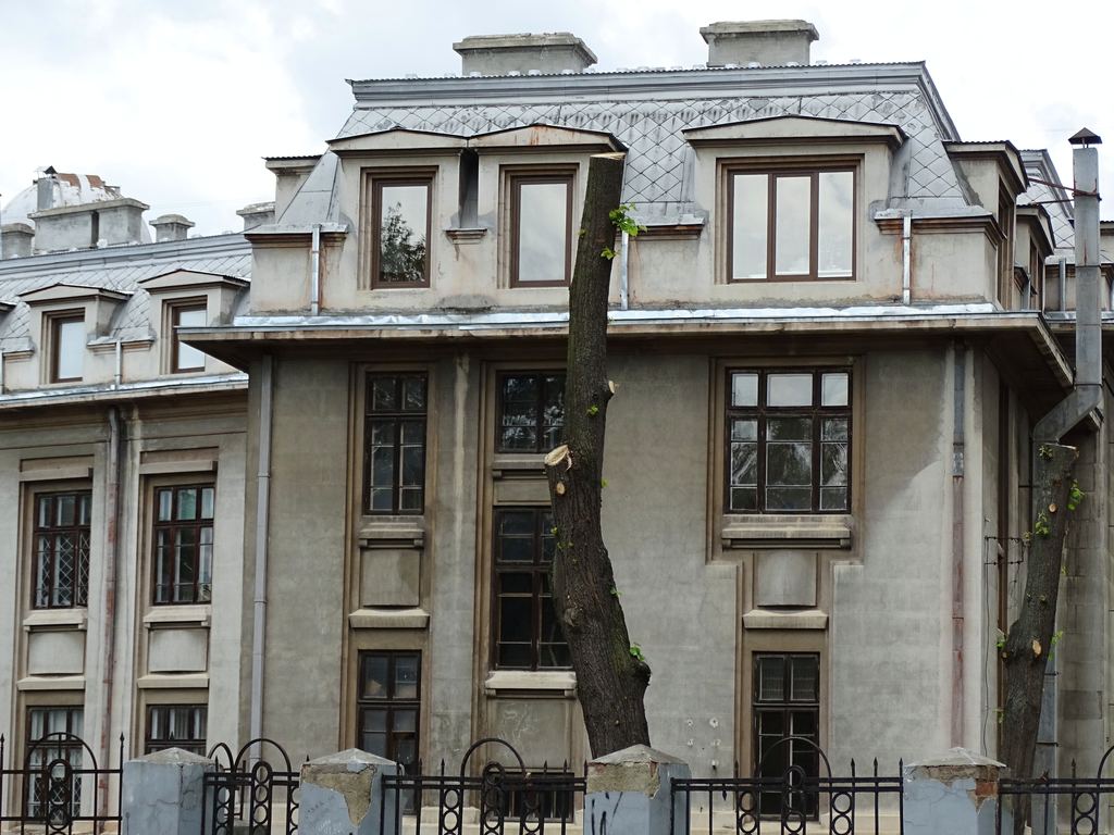 Віконні прорізи історичного фасаду в Чернівцях